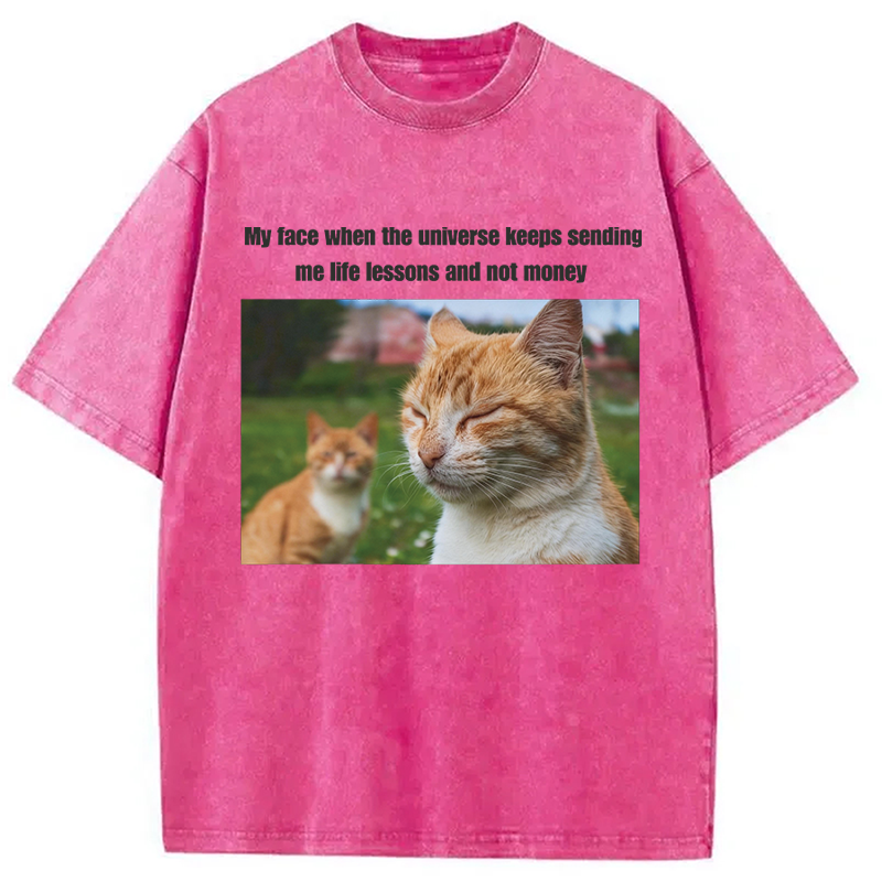 Modecanvas Grumpy Cat Meme DTG Printing Washed T-Shirt