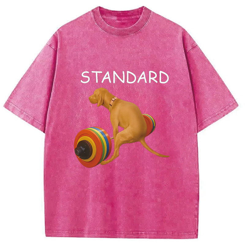 Modecanvas Standard Dog FItness Meme Washed T-Shirt