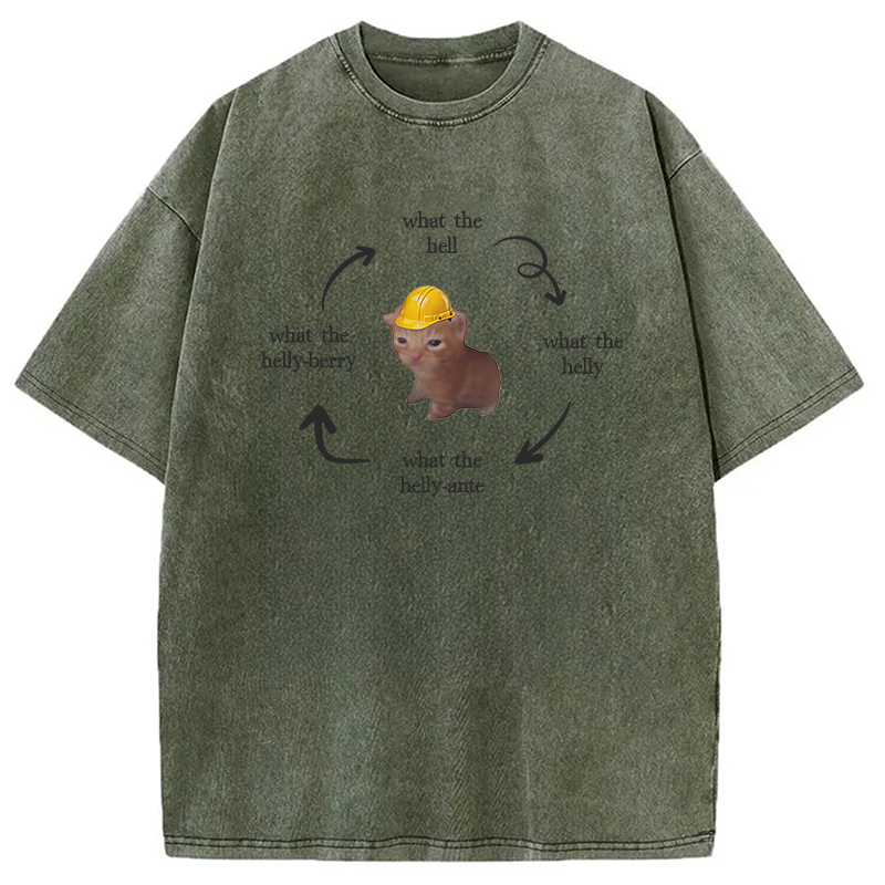 Modecanvas What The Helly Funny Cat Meme DTG Printing Washed T-Shirt