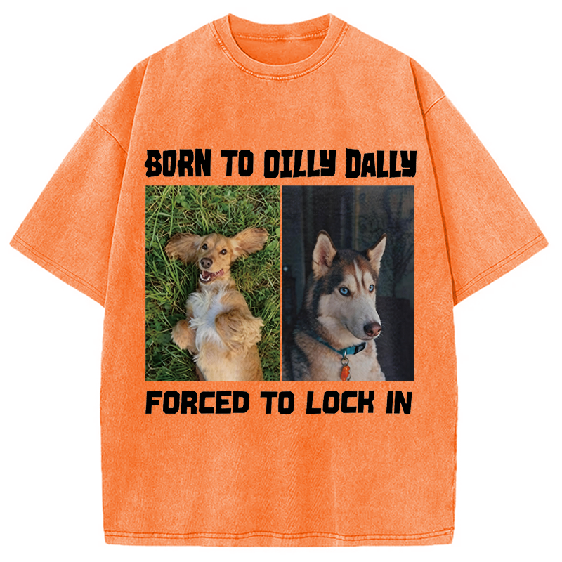 Modecanvas Born to Dilly Dally Forced to Lock In Funny Dog Meme DTG Printing Washed T-Shirt