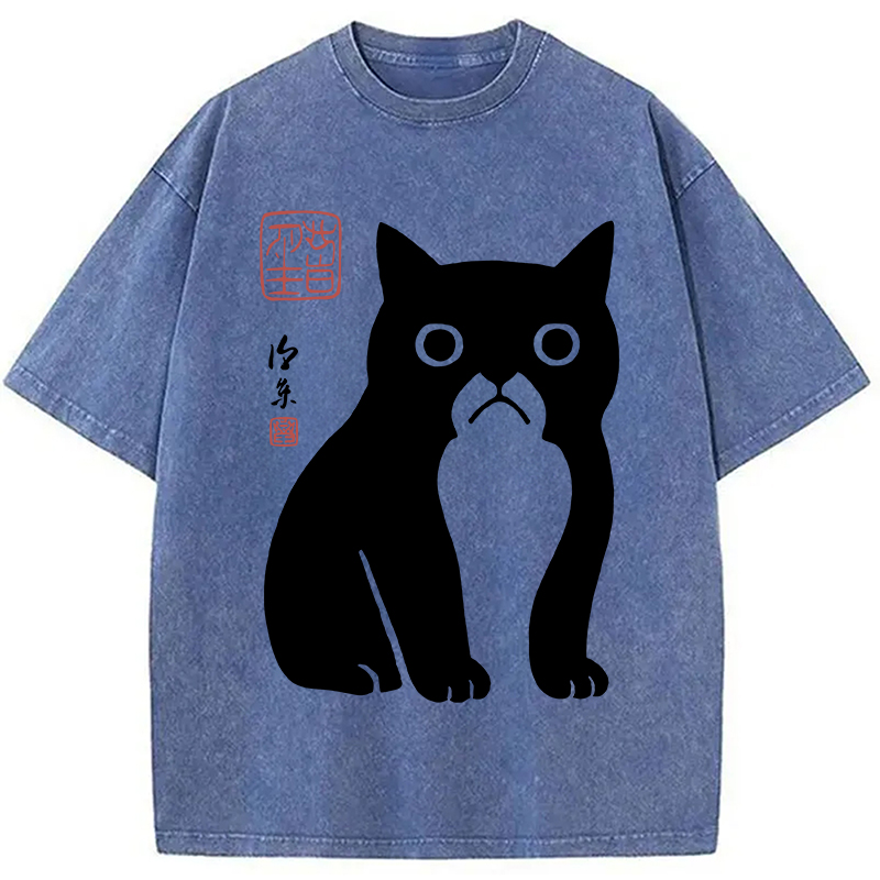 Modecanvas Funny Zen Cat Meme Washed T-Shirt