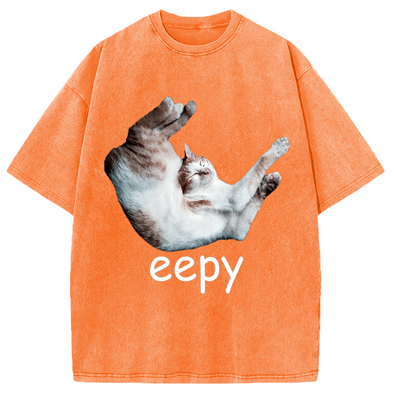 Modecanvas Silly Sleepy Cat Meme DTG Printing Washed T-Shirt