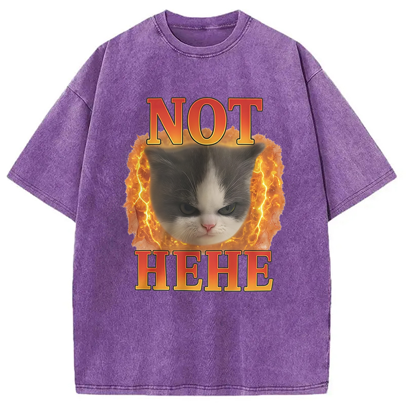 Modecanvas NOT HEHE Funny Cat Meme Washed T-Shirt