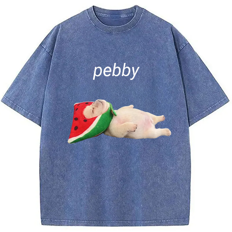 Modecanvas Funny Pibble Dog Meme DTG Printing Washed T-Shirt