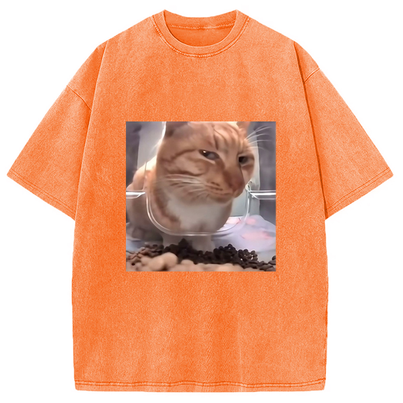 Modecanvas Funny Cat Meme Washed T-Shirt