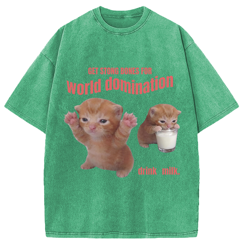 Modecanvas World Domination Cat Meme DTG Printing Washed T-Shirt
