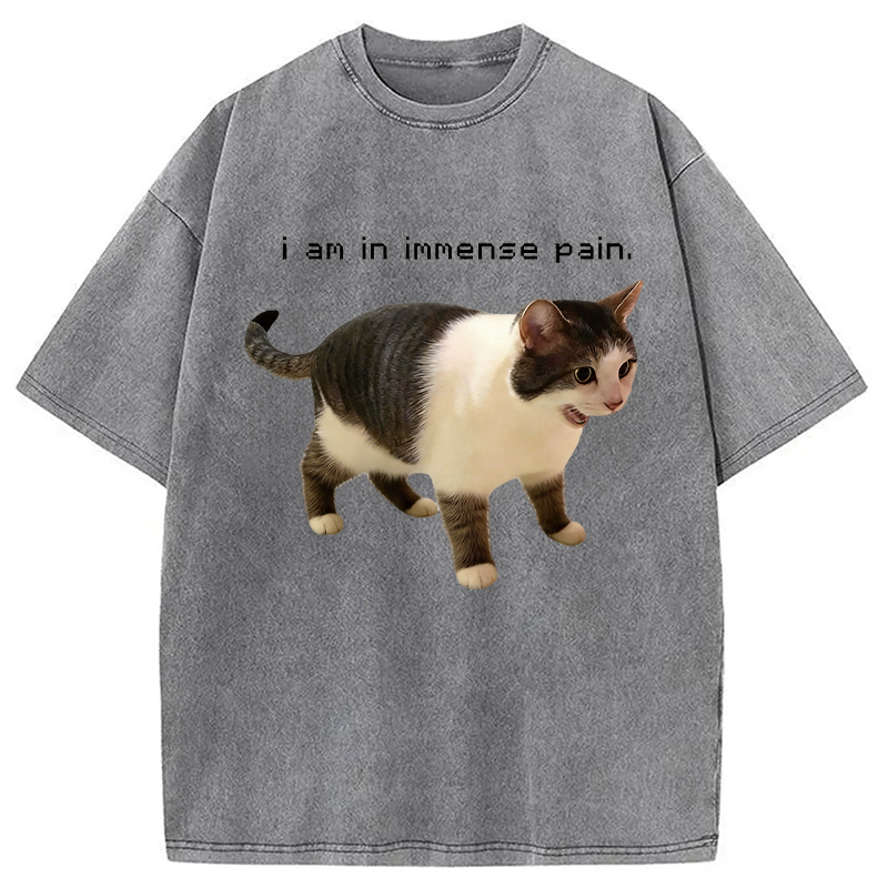 Modecanvas Screaming Cat Immense Pain DTG Printing Washed T-Shirt