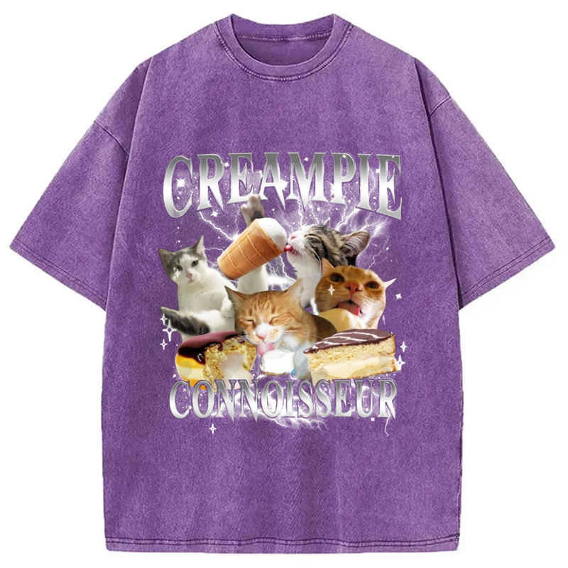 Modecanvas Creampie Connoisseur Meme Washed T-Shirt-modecanvas
