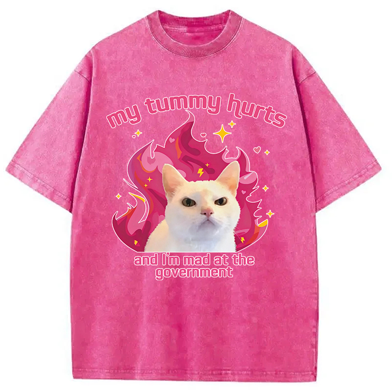 Modecanvas My Tummy Hurts Funny Cat Meme DTG Printing Washed T-Shirt