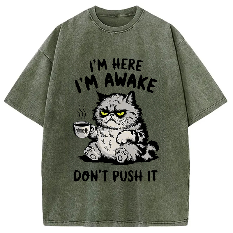 Modecanvas Tired Cat Washed T-Shirt