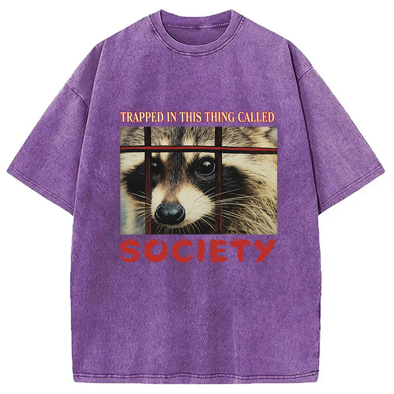 Modecanvas Society Raccoon Washed T-Shirt