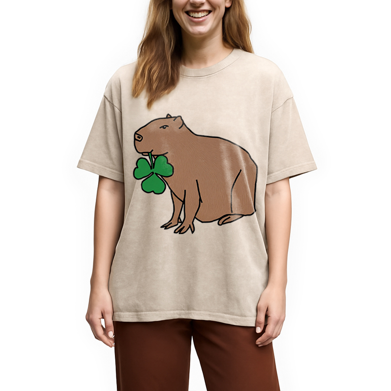 Modecanvas Cute Capybara with Shamrock DTG Printing Washed T-Shirt