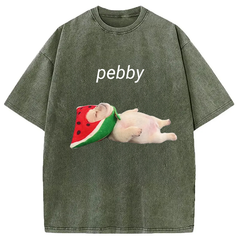Modecanvas Funny Pibble Dog Meme DTG Printing Washed T-Shirt
