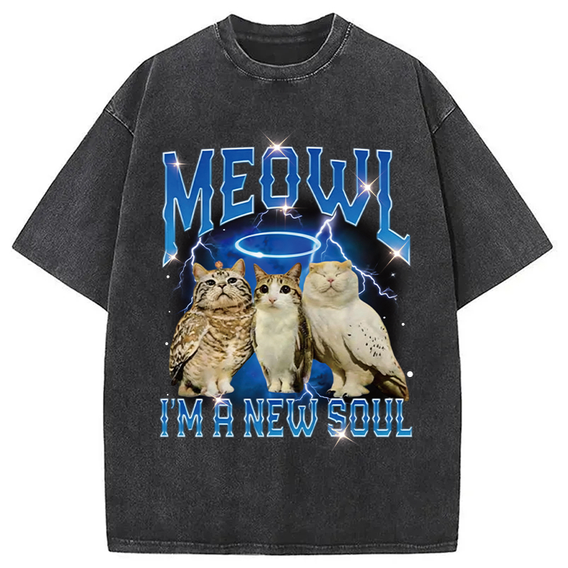 Modecanvas Meowl Cat Owl DTG Printing Washed T-Shirt