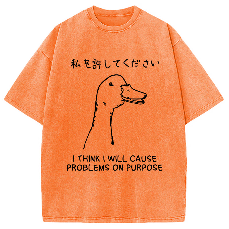 Modecanvas Stupid Goose Funny Japan Washed T-Shirt