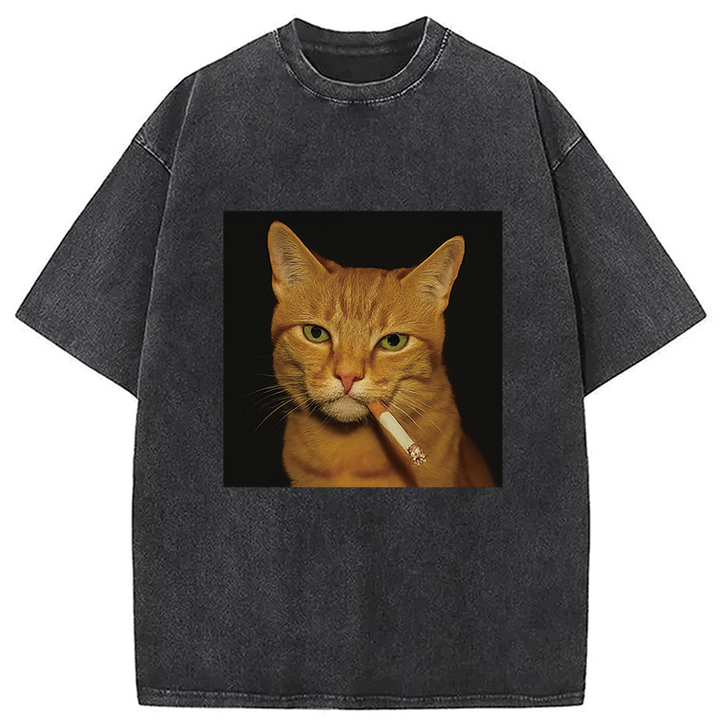 Modecanvas Funny Orange Cat Smoking Meme Washed T-Shirt