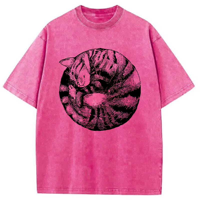 Modecanvas A Plate Of Cat Washed T-Shirt