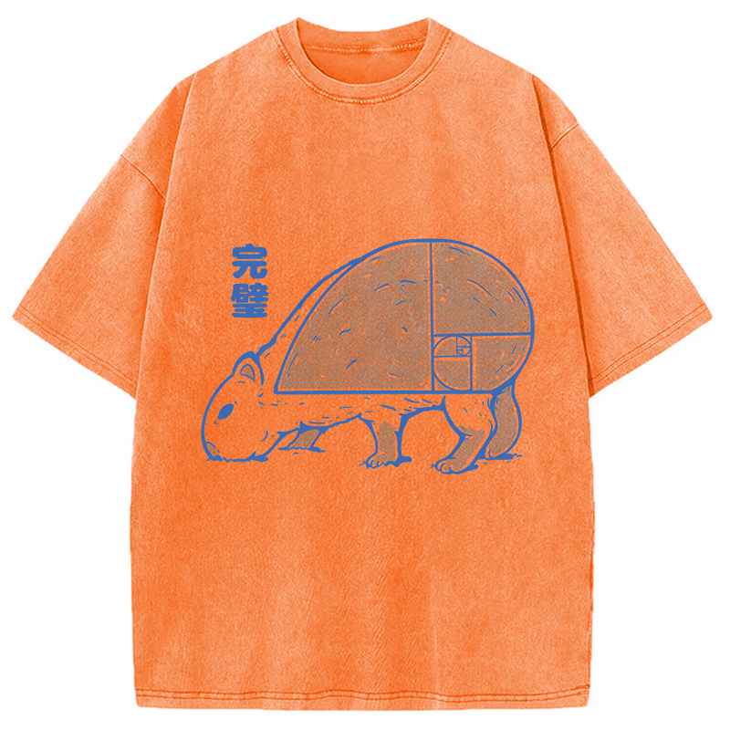 Modecanvas Capy Perfect Butt DTG Printing Washed T-Shirt