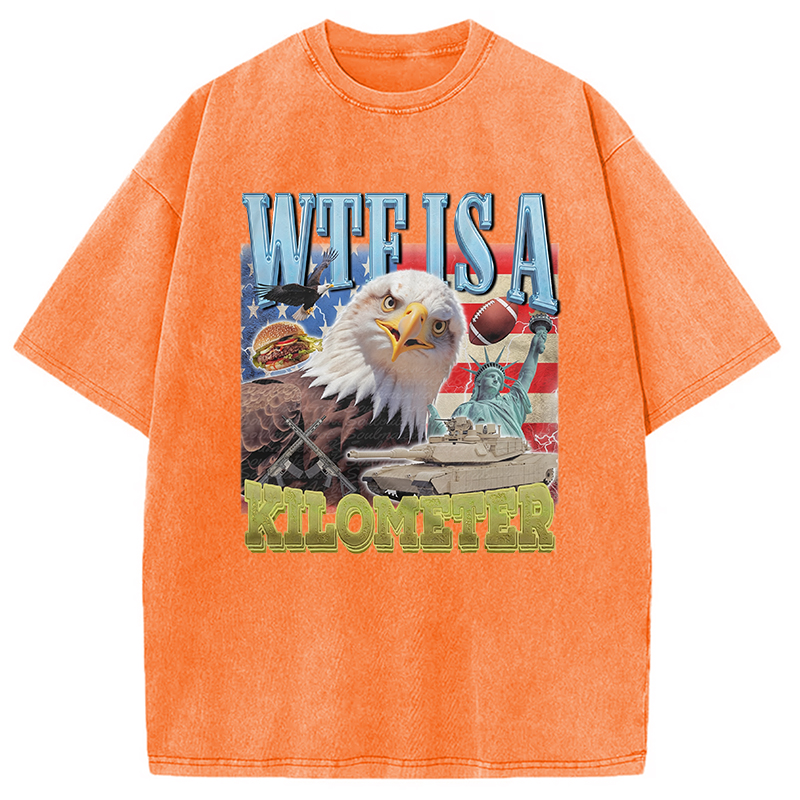 Modecanvas Funny Eagle Meme Washed T-Shirt-modecanvas