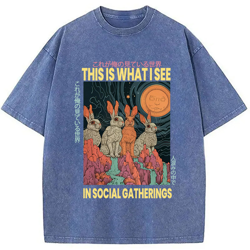 Modecanvas Funny Rabbit Japanese Social Anxiety DTG Printing Washed T-Shirt-modecanvas
