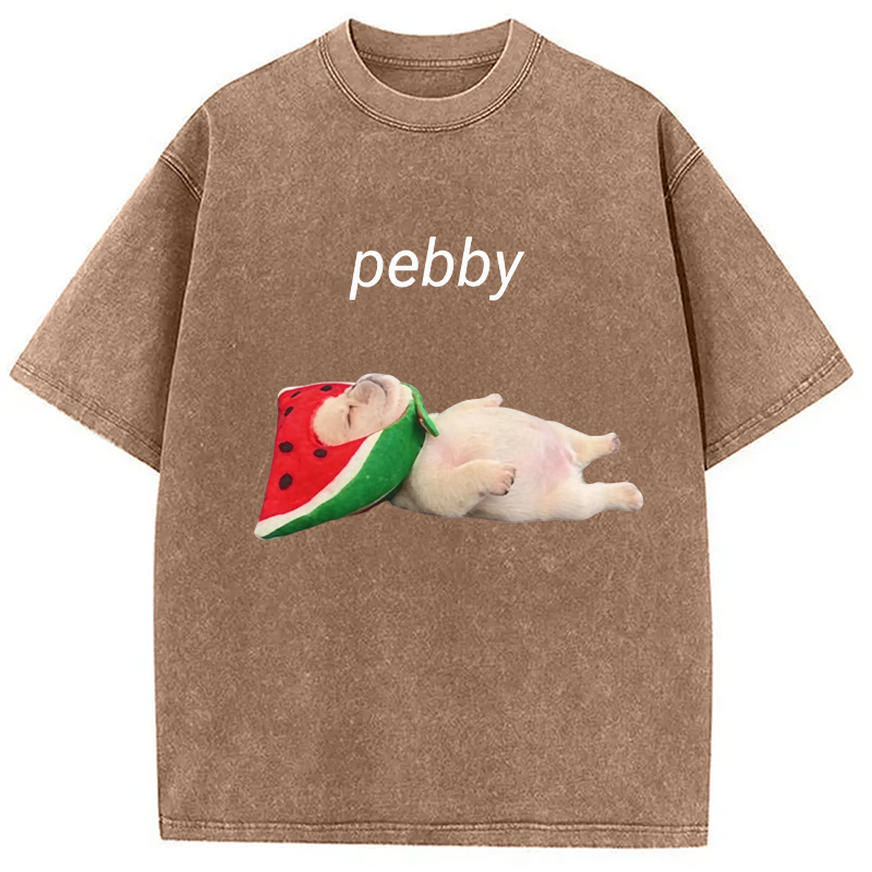Modecanvas Funny Pibble Dog Meme DTG Printing Washed T-Shirt