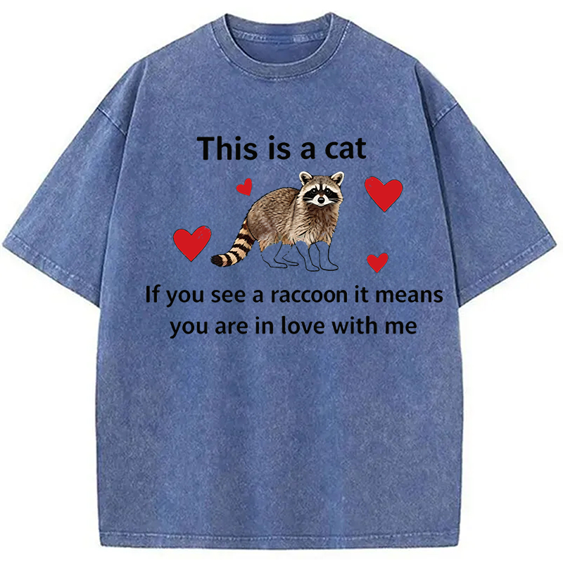 Modecanvas If You See A Raccoon DTG Printing Washed T-Shirt