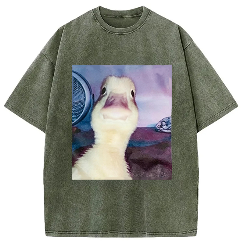 Modecanvas Duck Stare Funny Meme DTG Printing Washed T-Shirt