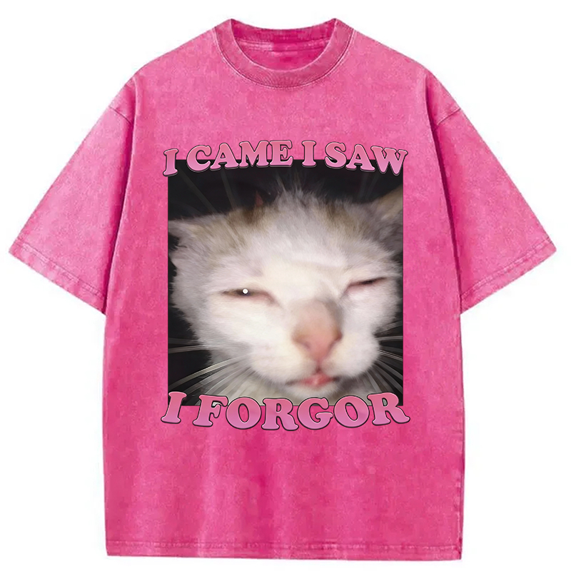 Modecanvas I Forgor Funny Cat Meme Washed T-Shirt-modecanvas