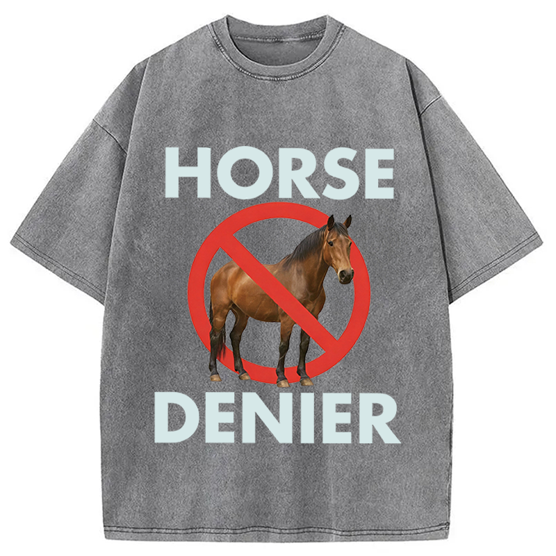 Modecanvas Funny Horse Denier Conspiracy Theory Washed T-Shirt-modecanvas