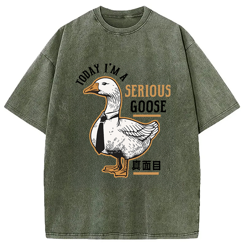 Modecanvas Japanese Serious Goose Washed T-Shirt