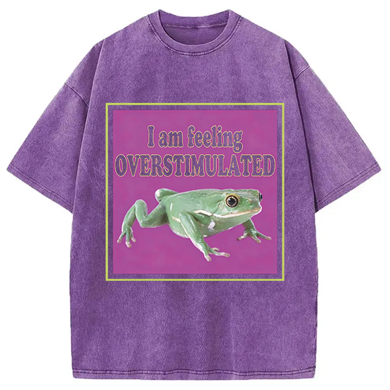 Modecanvas I Am Feeling Overstimulated DTG Printing Washed T-Shirt