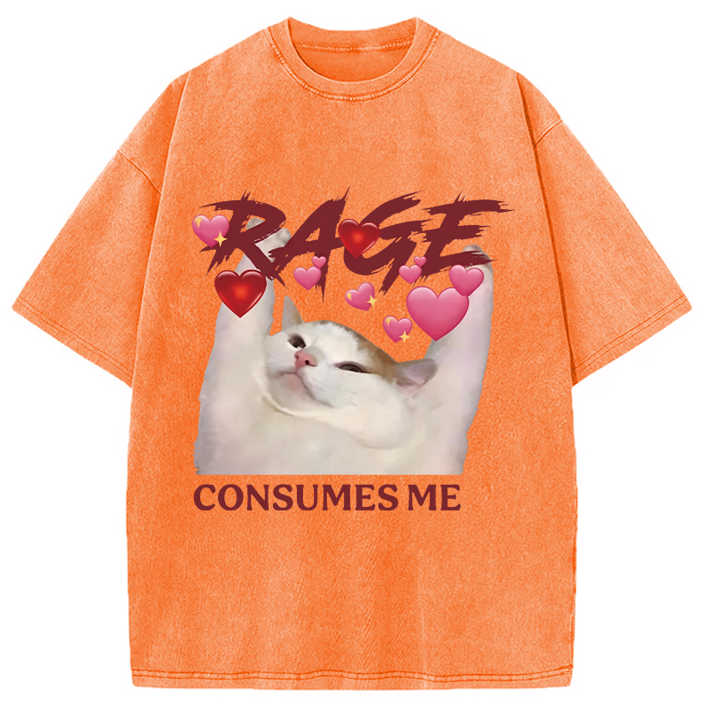 Modecanvas Rage Consumes Me Funny Cat Meme DTG Printing Washed T-Shirt