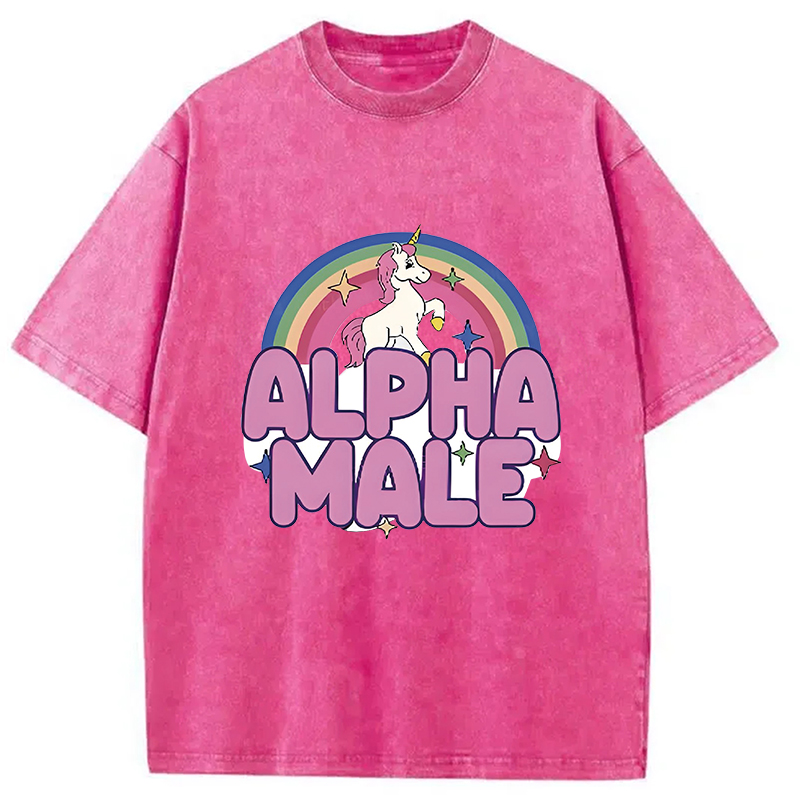 Modecanvas Rainbow Unicorn Alpha Male Washed T-Shirt