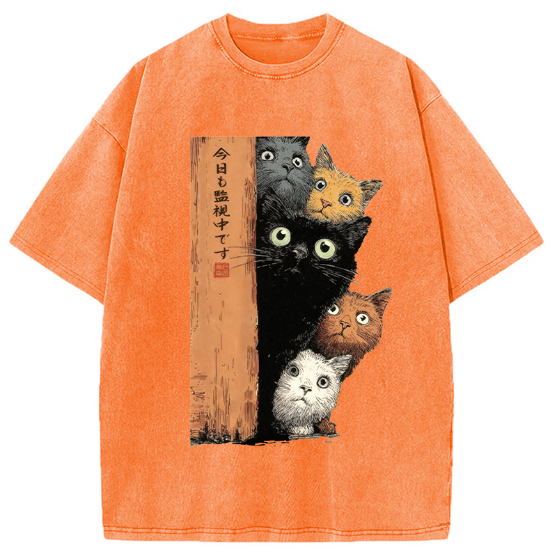 Modecanvas Cats Are Watching You Washed T-Shirt