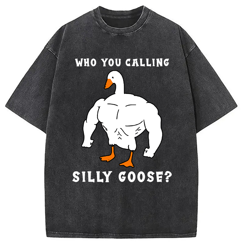 Modecanvas Who You Calling Silly Goose Funny Gym Meme Washed T-Shirt