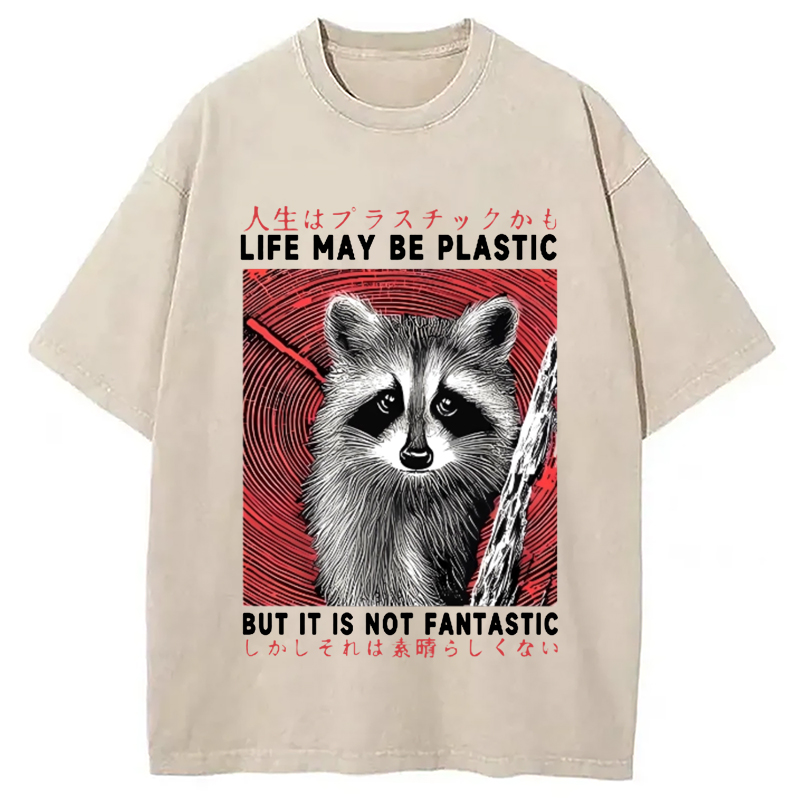 Modecanvas Raccoon Vintage Japanese Washed T-Shirt
