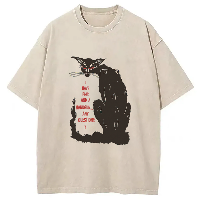 Modecanvas I Have PMS And A Handgun Any Questions? DTG Printing Washed T-Shirt