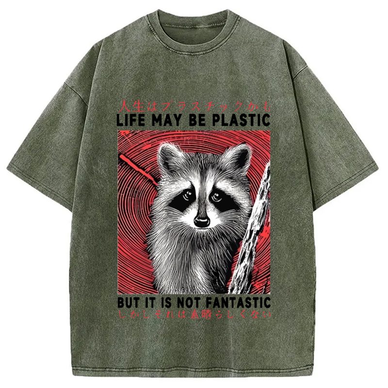 Modecanvas Raccoon Vintage Japanese Washed T-Shirt