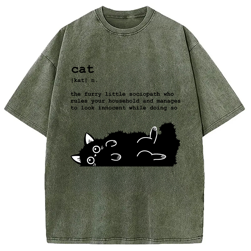 Modecanvas Definition Of Cat Funny Washed T-Shirt