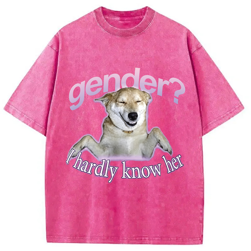 Modecanvas Gender I Hardly Know Her Meme DTG Printing Washed T-Shirt
