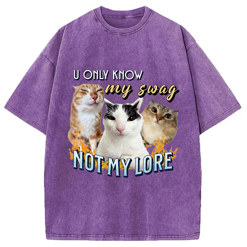 Modecanvas Funny Y2K Cat Meme DTG Printing Washed T-Shirt
