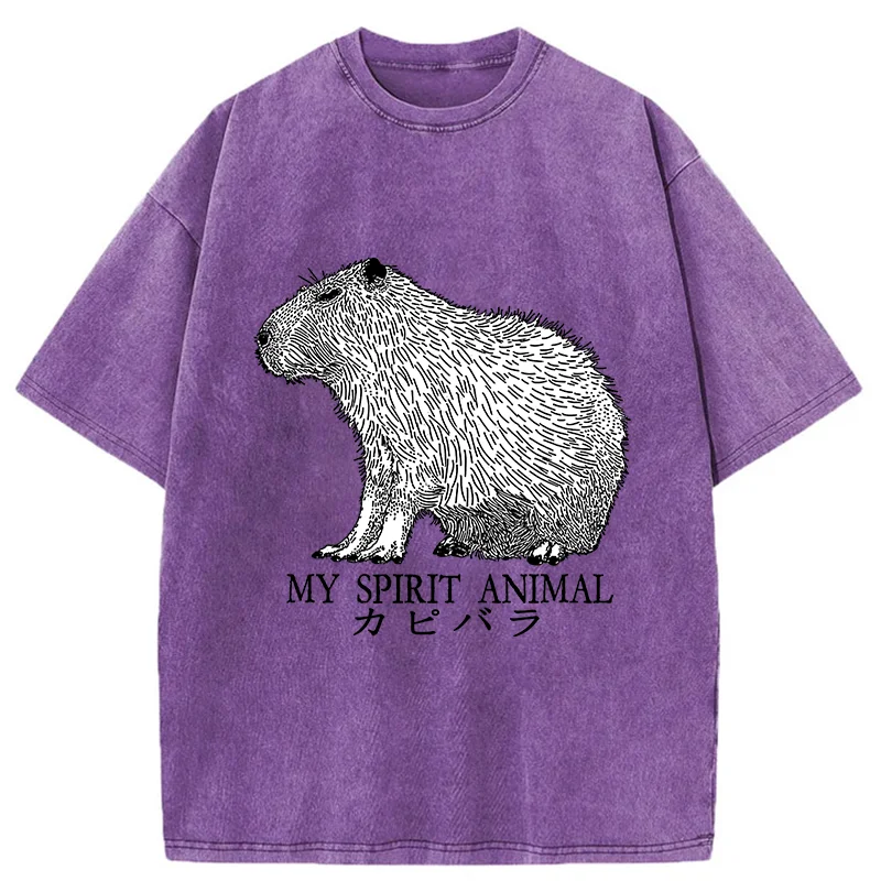 Modecanvas Capybara Spirit Washed T-Shirt