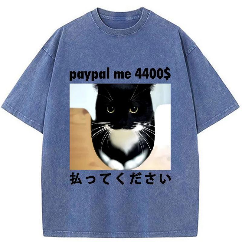 Modecanvas Please Give The Cat Money Washed T-Shirt
