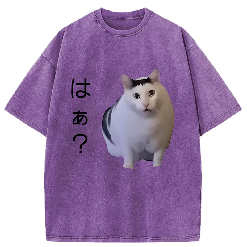 Modecanvas Suspicious Funny Cat Washed T-Shirt-modecanvas