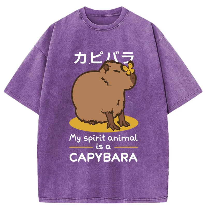 Modecanvas Spirit Animal Capybara Washed T-Shirt