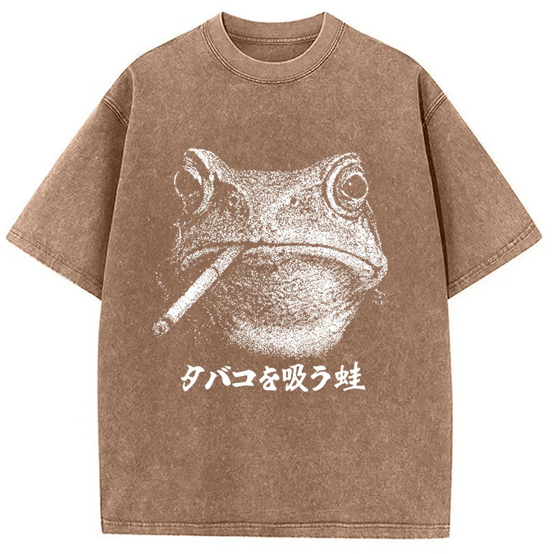 Modecanvas Funny Smoking Frog Meme Washed T-Shirt