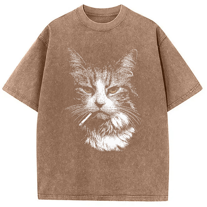 Modecanvas Cool Cat Smoking Meme DTG Printing Washed T-Shirt-modecanvas