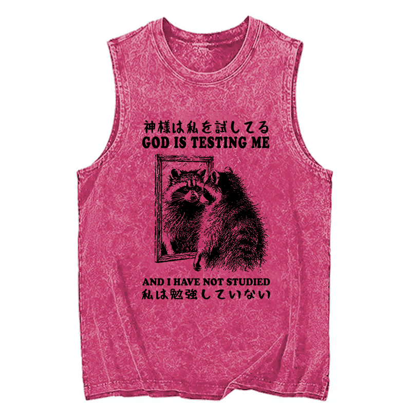 Modecanvas Raccoon Not Studied DTG Printing Washed Tank-modecanvas