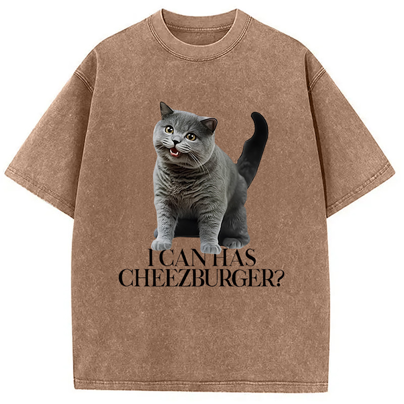 Modecanvas I Can Has Cheezburger Washed T-Shirt