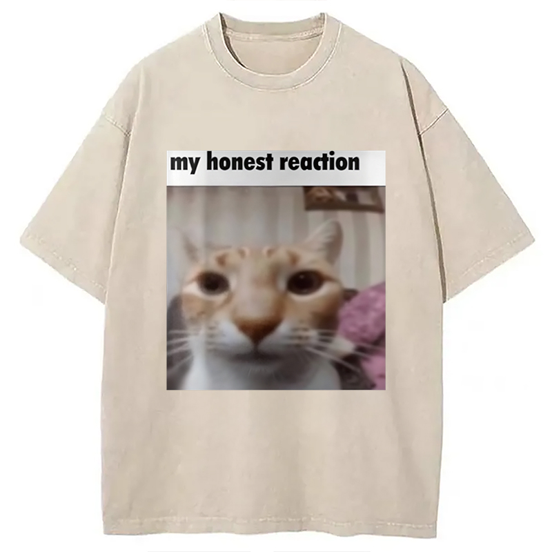 Modecanvas My Honest Reaction Cat Meme Washed T-Shirt